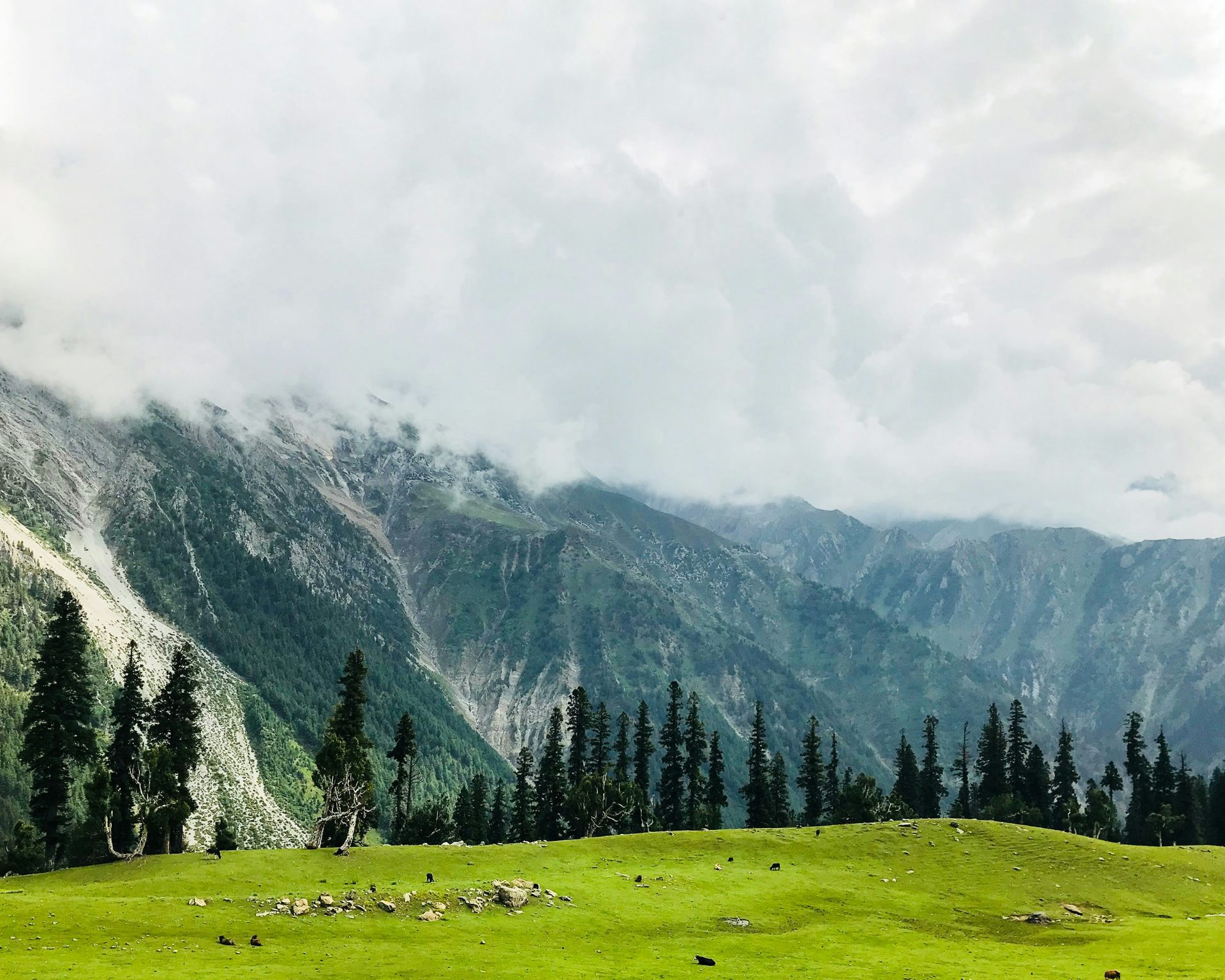 Kashmir Delight – Srinagar, Pahalgam & Gulmarg, Srinagar • Sonamarg • Pahalgam • Gulmarg • Doodhpathri
