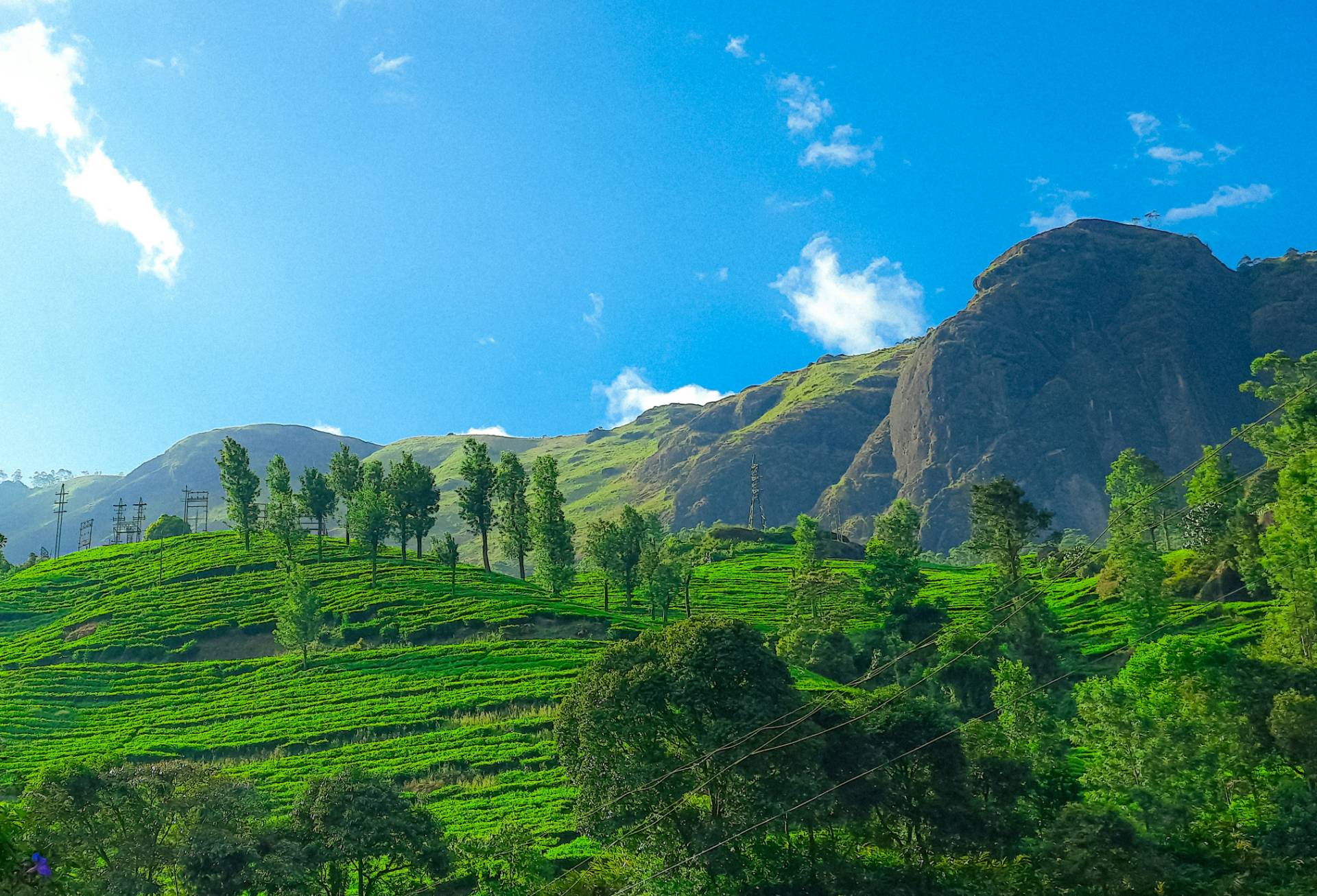 Kerala Fixed Departure, Kerala – India