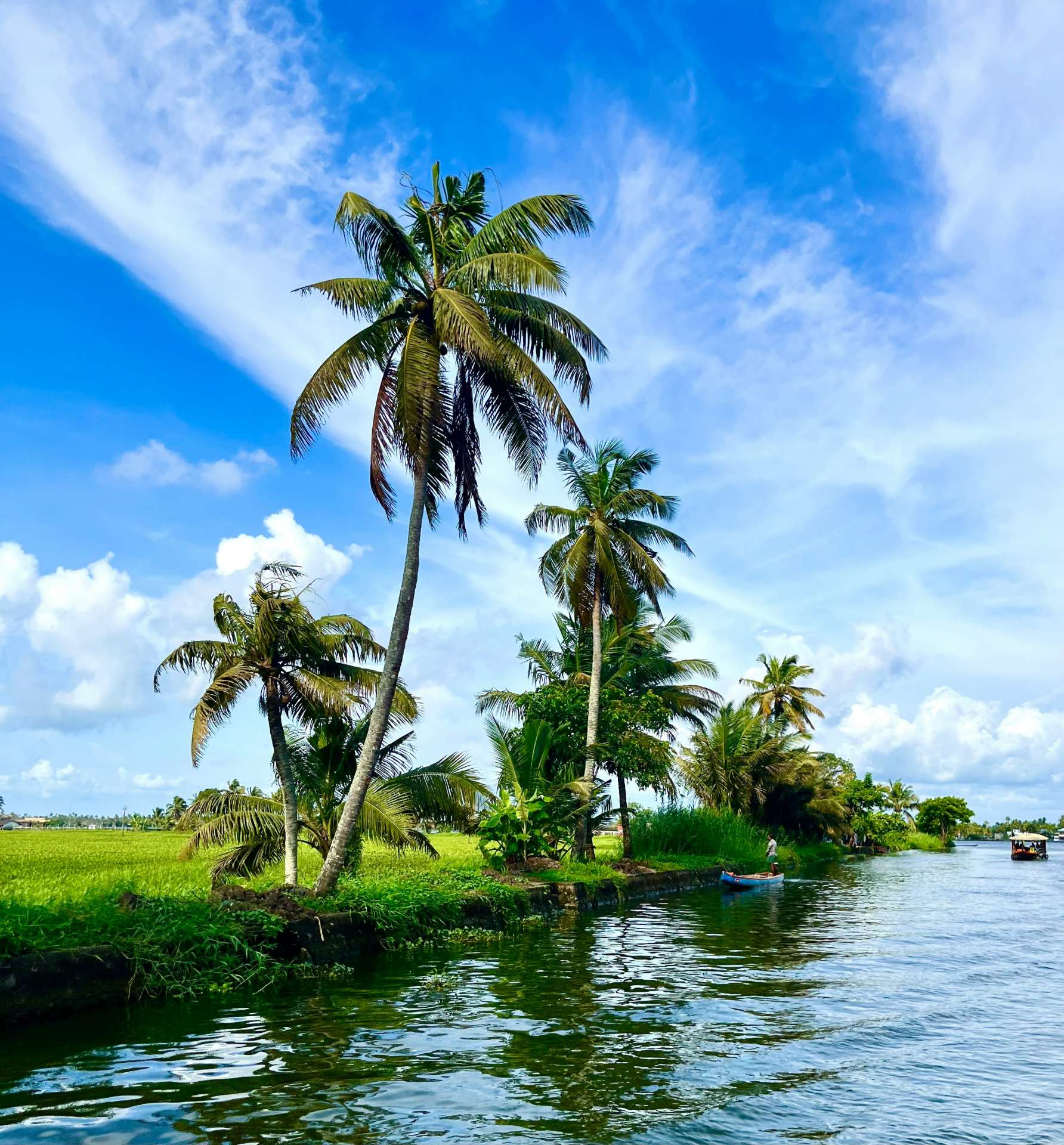 Backwaters of Kerala, Kerala – India