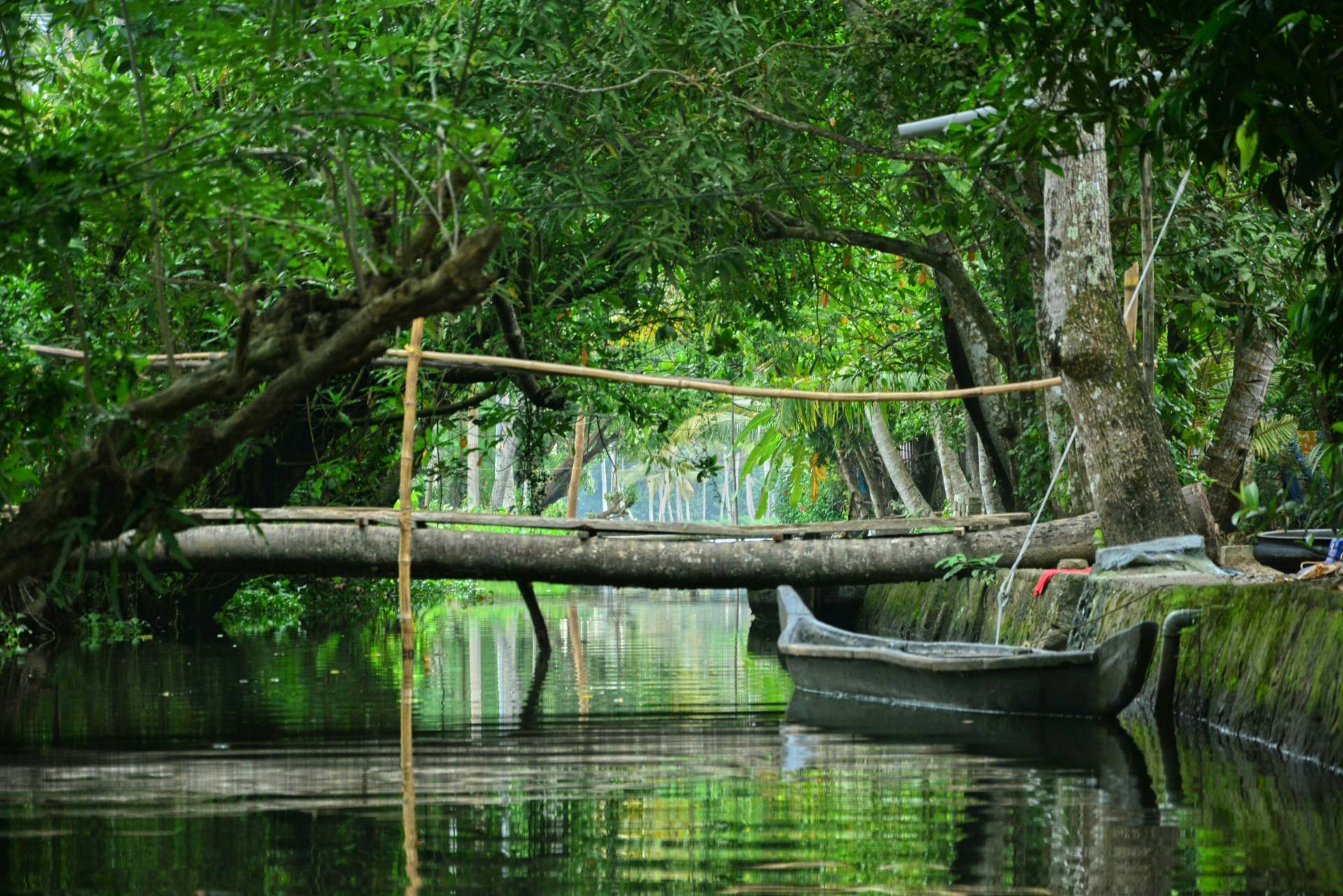 Kerala Pocket Friendly Package, Kerala – India