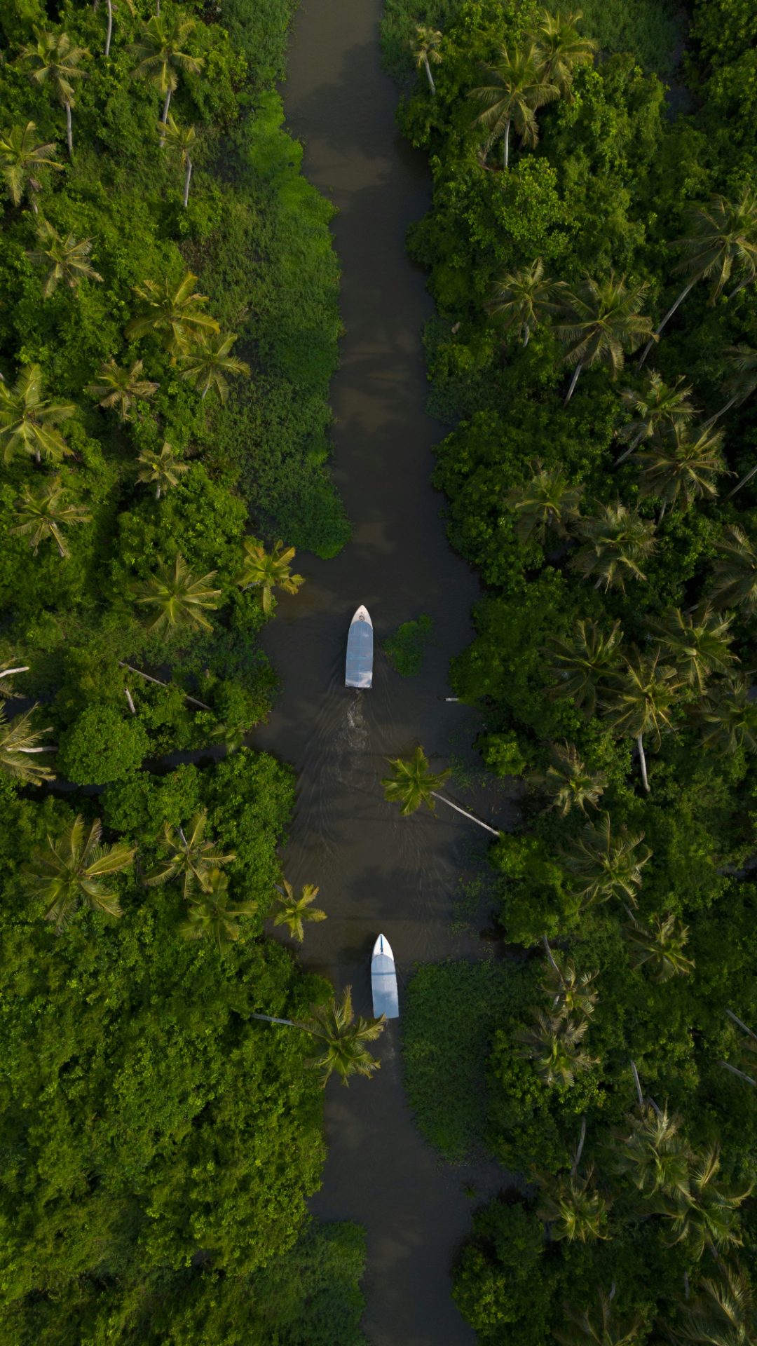 Kerala Holiday picture 1