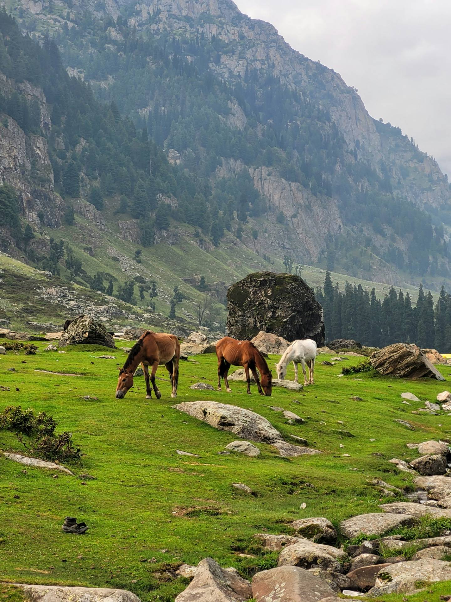 Day 2 - Srinagar → Sonamarg → Srinagar