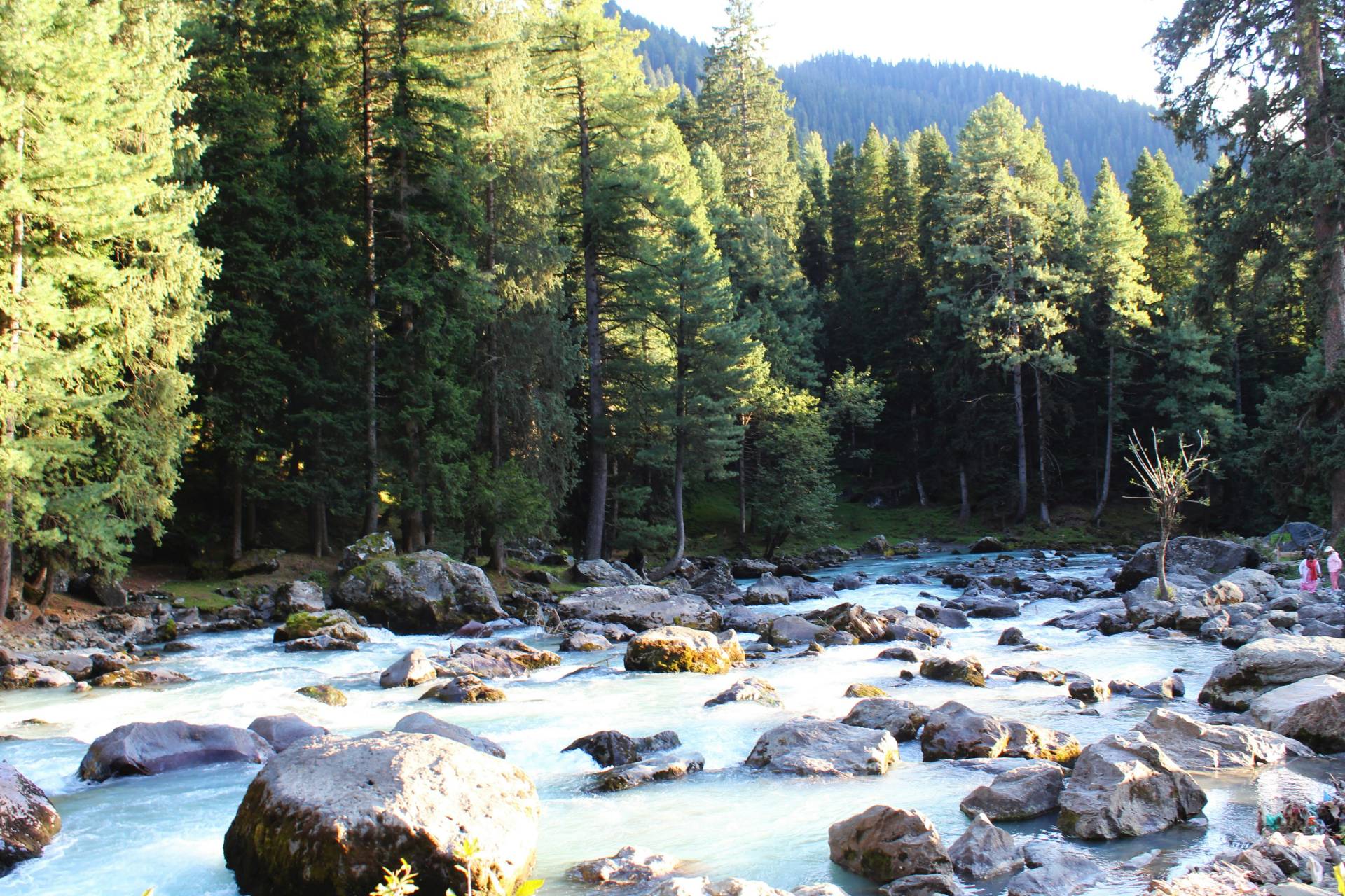 Day 3 - Srinagar → Pahalgam