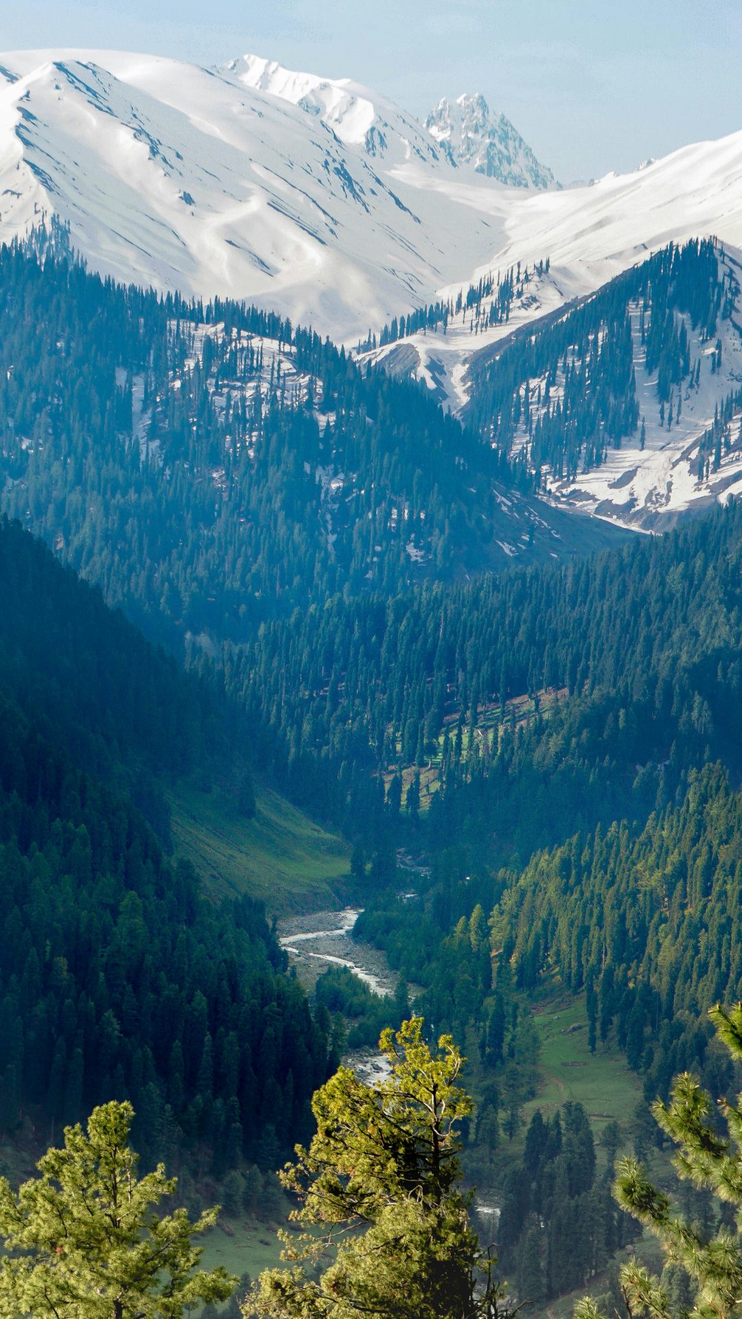 Day 4 - Pahalgam → Gulmarg